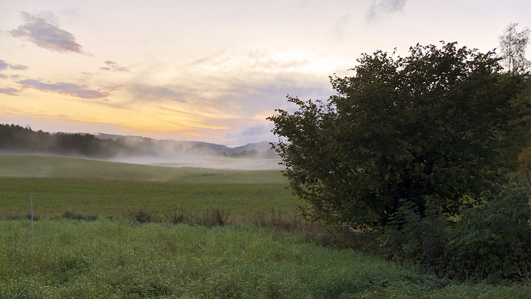 The farm - Lilla Halängen